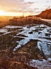 Two Treasures Arrive