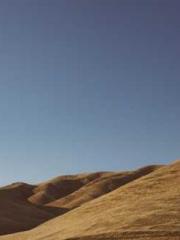 lt;divgt;A Second Ma