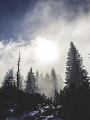 The Little Fox Spiri