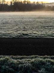 Bodhisattva of Compa