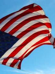 My seven stunning an