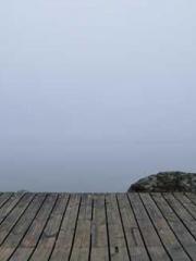 Peninsula Asteroid l