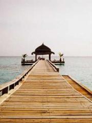 One Night Marriage P