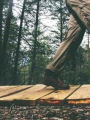 lt;lt;lt;Visionary S