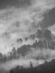 The Imperial Uncleap