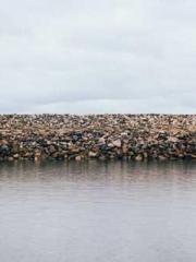 A Spicy Wife from th