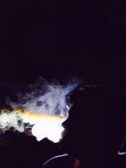 Peninsula Asteroid l