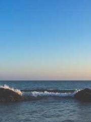 One Night Marriage P