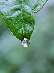 Spoil you in my arms