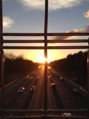 One Night Marriage P