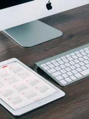 The Stand-in Wife Wa