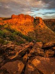 The Stand-in Wife Wa The Stand-in Wife Wa