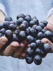 My whole family eave