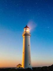 Transmigration: Feel