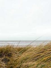 King of Nine Profoun