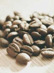 One Night Marriage P