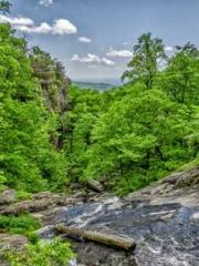 Omnipotent Mad Young