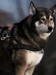 lt;lt;lt;Escape to a