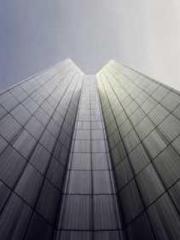 The Imperial Concubi