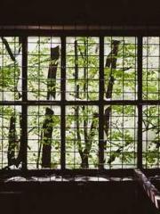 lt;gt;The son of a w