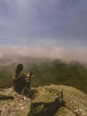 One Pregnancy, Two B