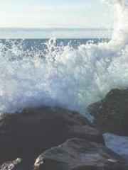 Bones-Eating Marriag