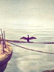 The Sovereign of the The Sovereign of the