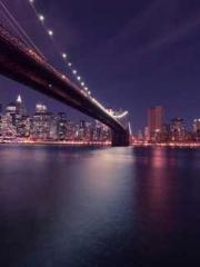 After miscarriage an