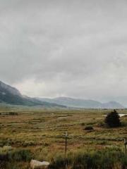 lt;lt;lt;The Master lt;lt;lt;The Master