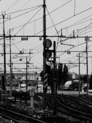 lt;Marry at first si lt;Marry at first si