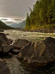 Two Treasures Arrive