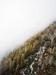 One Night Marriage P