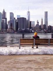 A Heavenly Gift: The