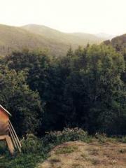 Grandpa Fuapos;s Ful